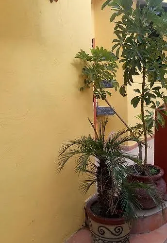 Casa Sol Y Luna Guest house Mexico City